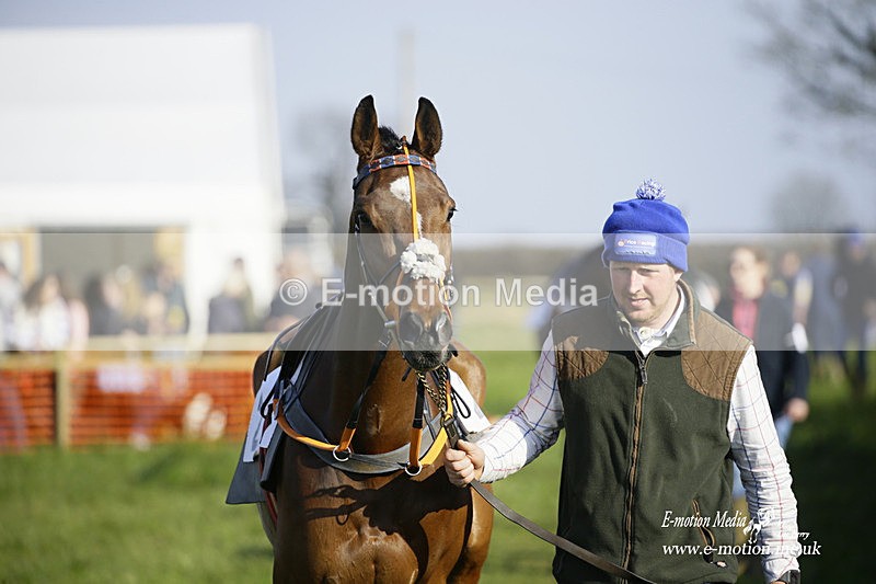 PtP 200322 412 - Mendip Farmers Point-to-Point 20/03/22