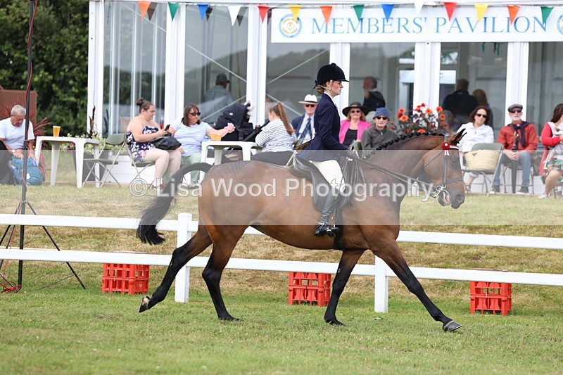 3E7A0542 - Rising Star Ridden Championship