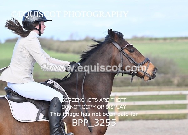 BPP_3255 - CLASS 2  Club/ Unaffiliated 80cms Open