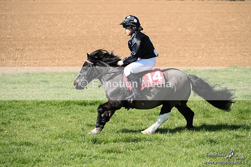 Shet 060426 337 - Shetland Pony Racing Paxford Races Easter Mon 06/04/26
