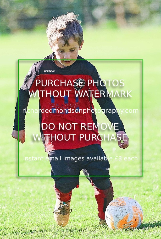 533A4884 - Sedbergh Wanderers Juniors Under 9's (17/10/26)