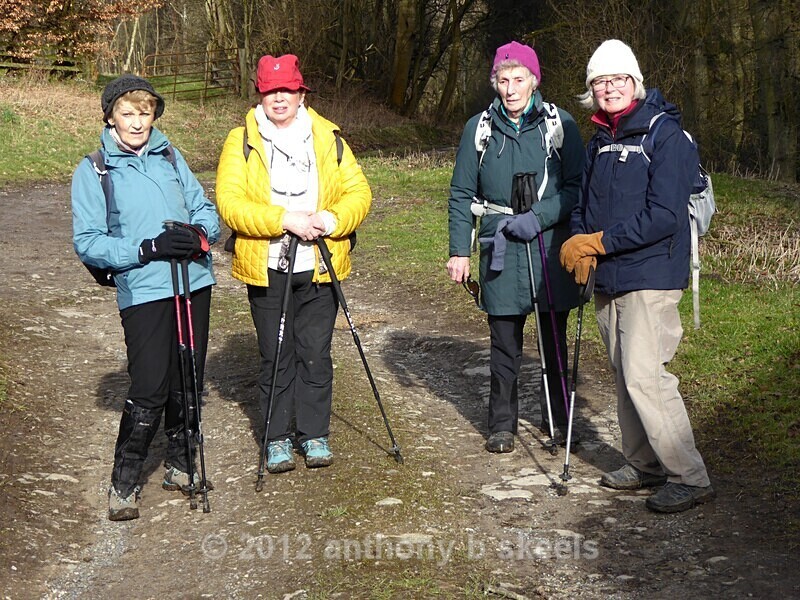 013 An undauntable detour - York Minster Walkers Collection 2025