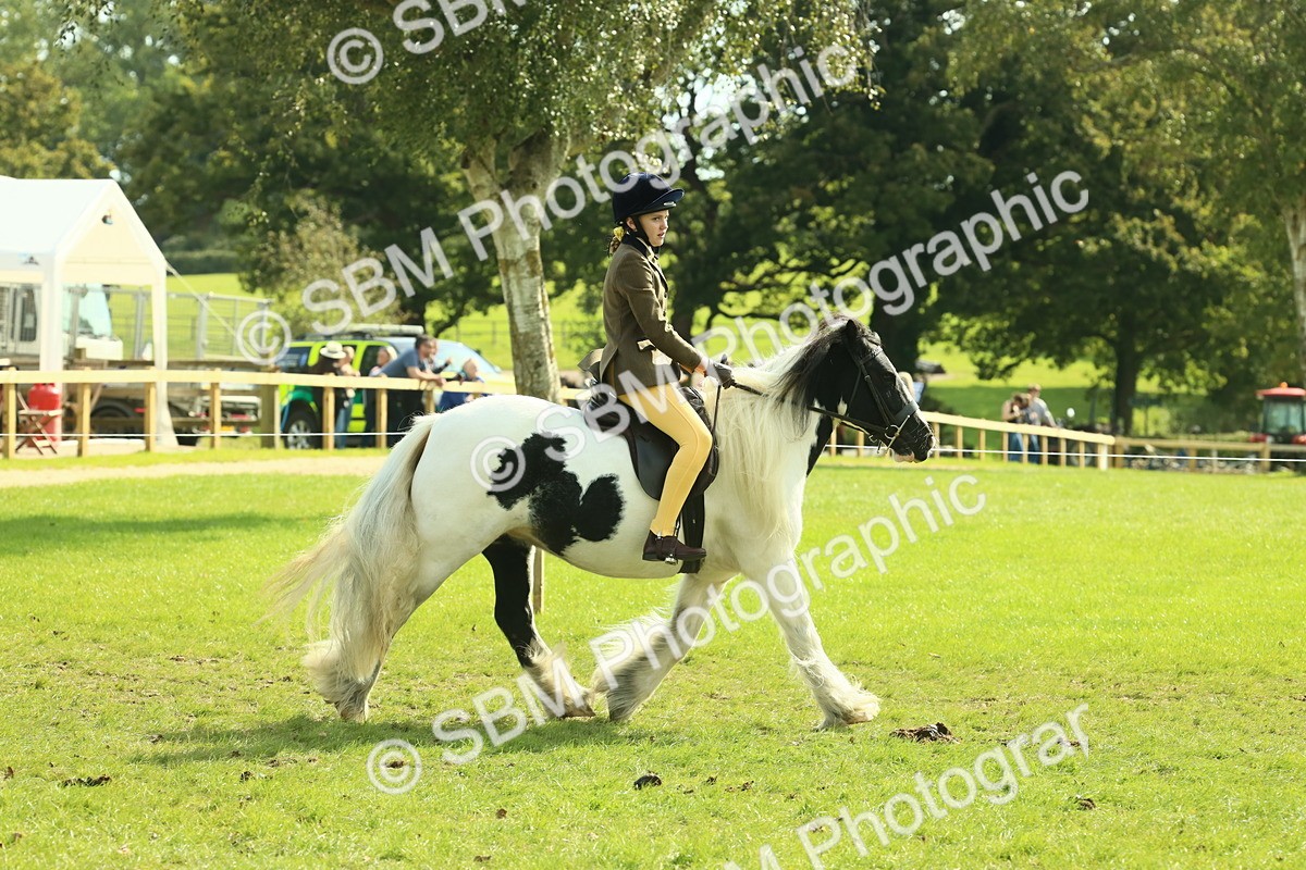 SBM_68910 - S58 - Mini Show Cob Ridden