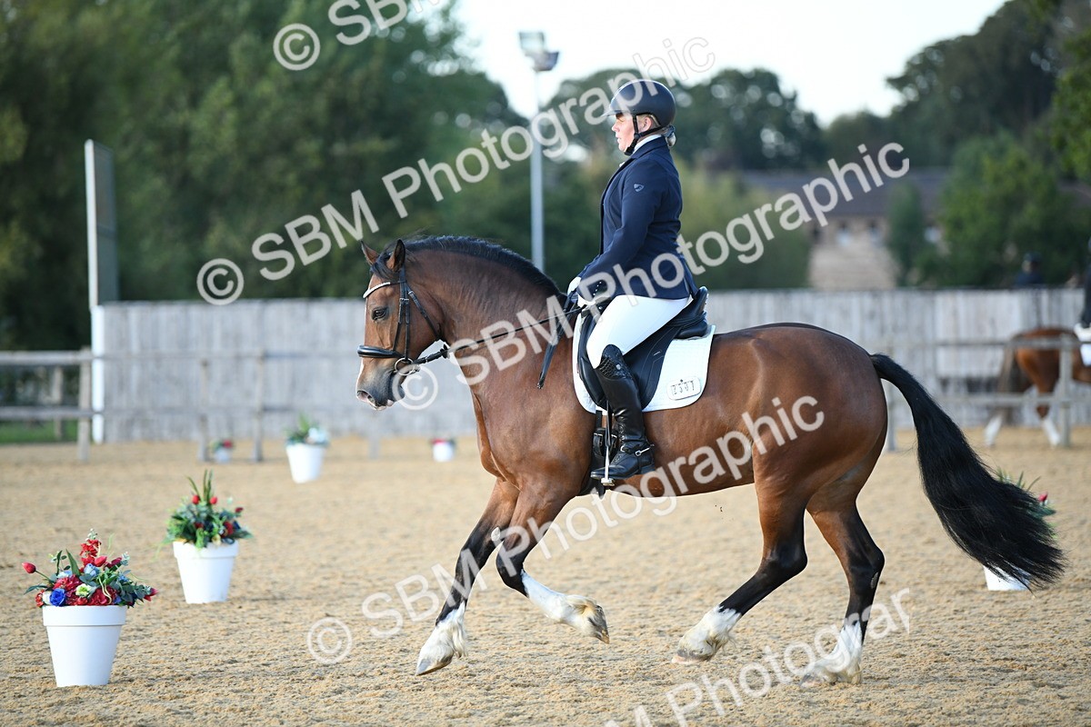 SBM_30943 - D16 - Small Tour Championship - Novice 28