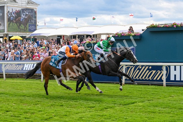 310525-Race 2-Tadej-8962 - Race 2 2.05pm Irish Thoroughbred Marketing EBF Restricted Novice Stakes