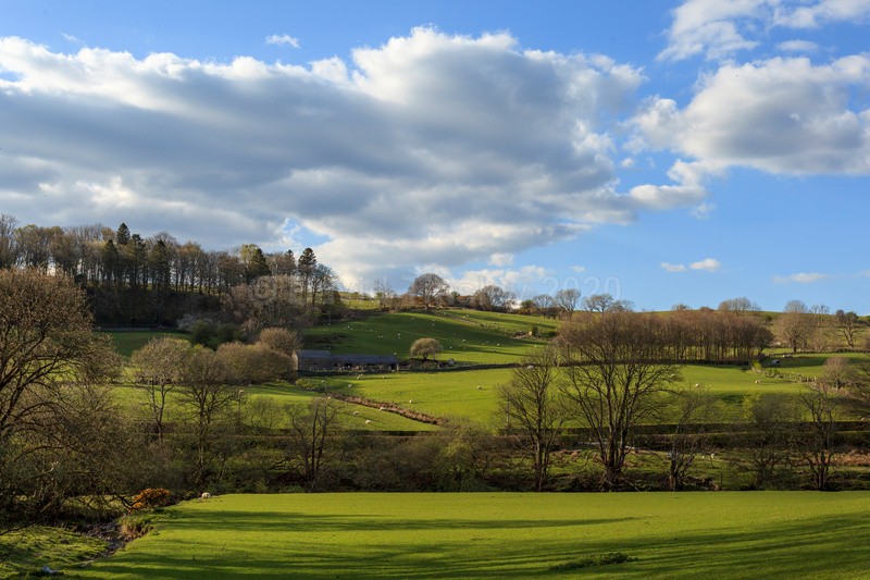 Rural Ysbyty Ifan - North Wales