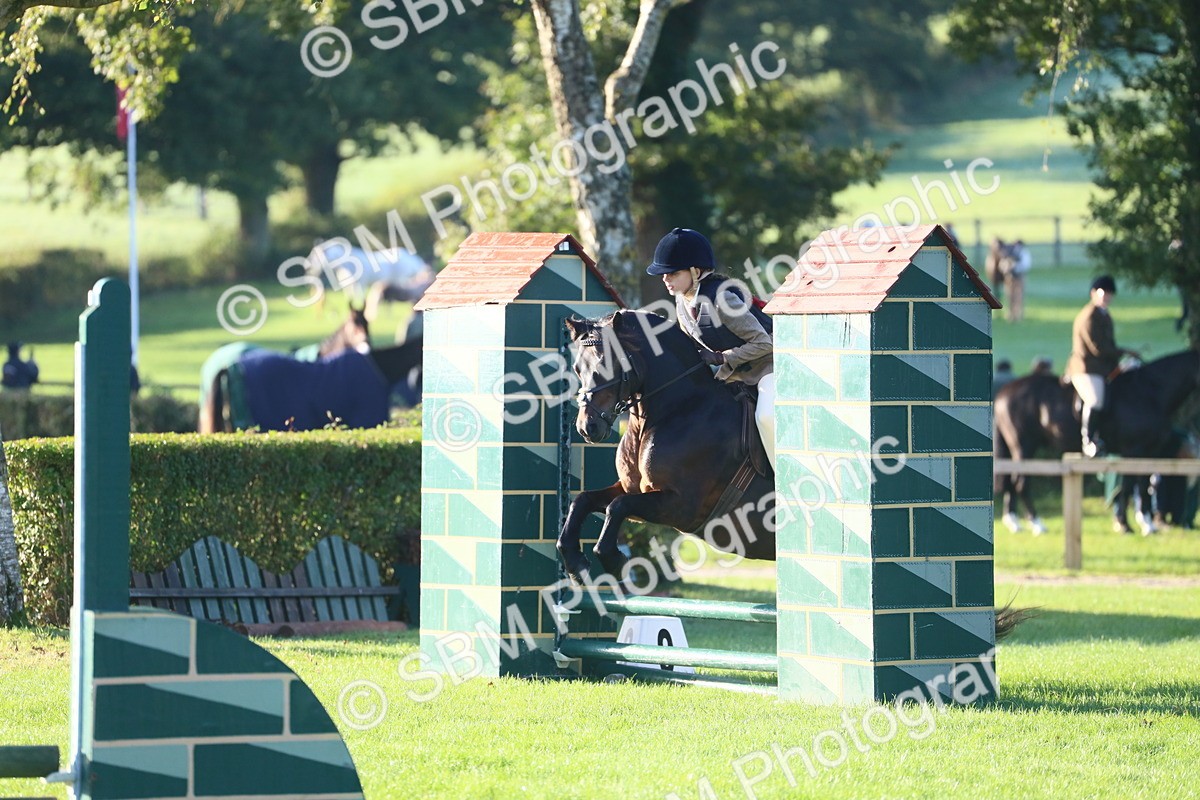 SBM_31924 - S28 - Nursery Stakes Working Hunter Pony