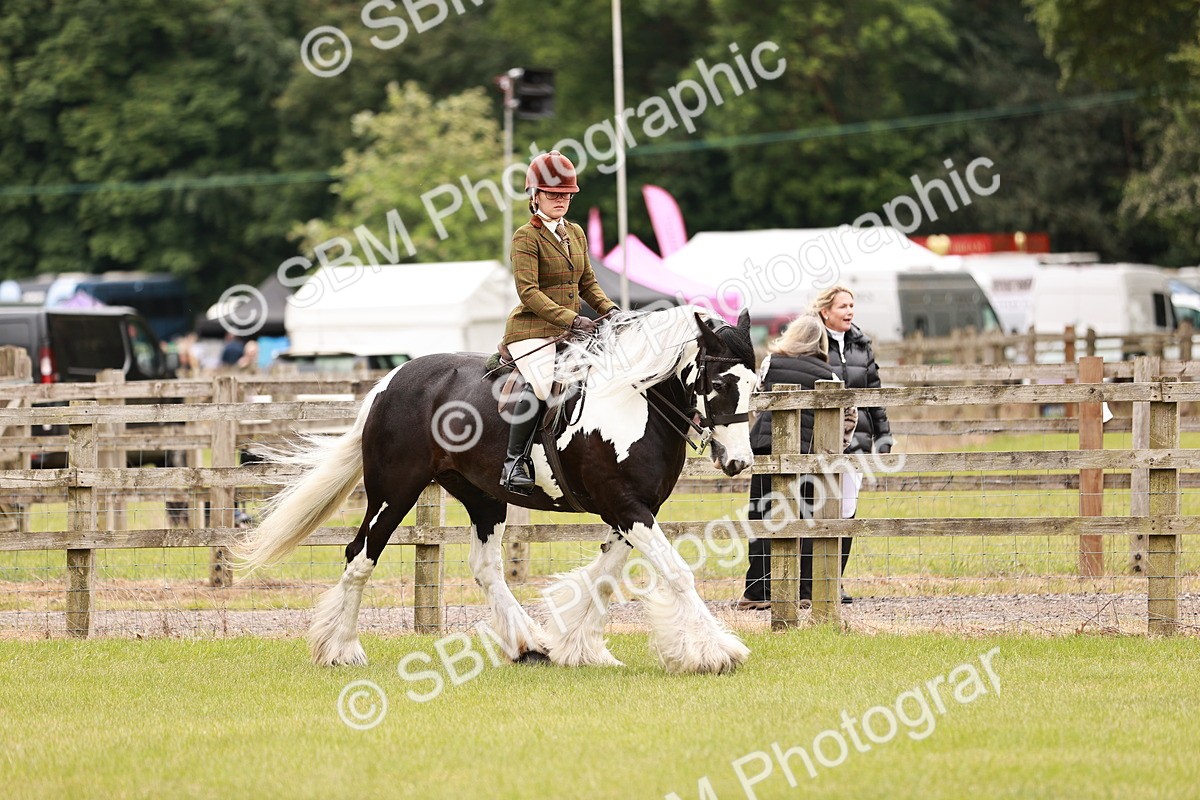 SBM_06211 - Class 39-41 TGCA In Hand and Ridden
