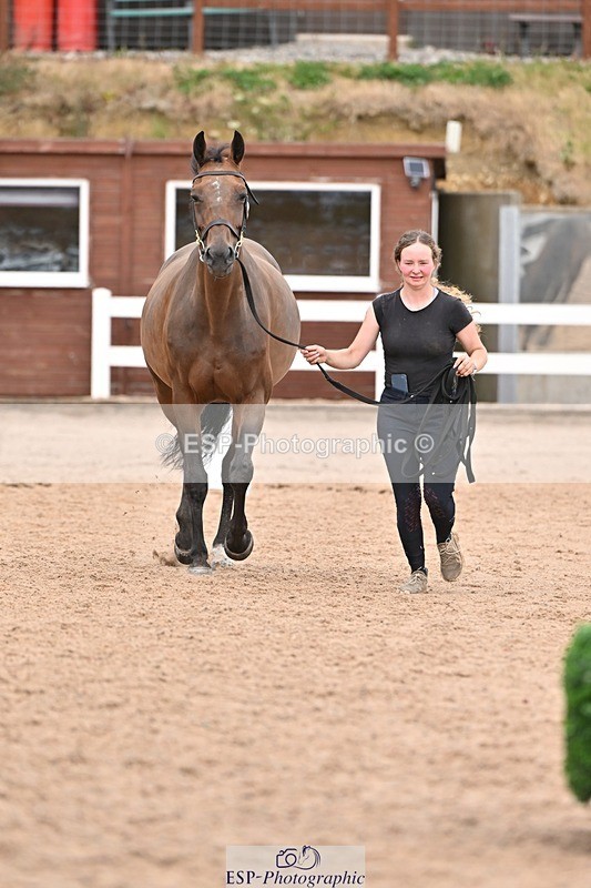 250716-163448-02683 - Trot Up 4.30 to 5.00