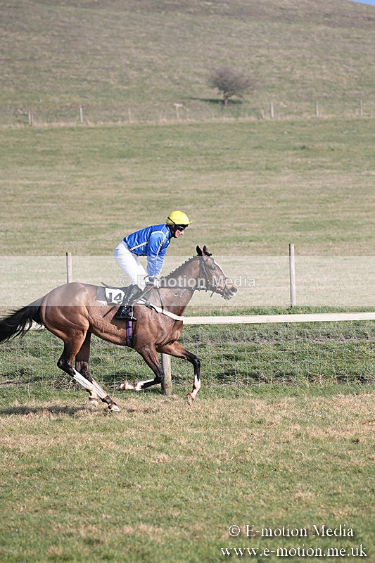 PtP 230219 267 - Vine & Craven Point-To-Point - Barbury 23/02/19