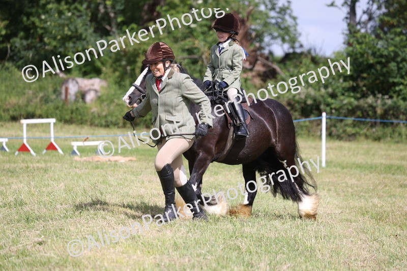20260614-0626 - Class 20 - Beginners Working Hunter Pony