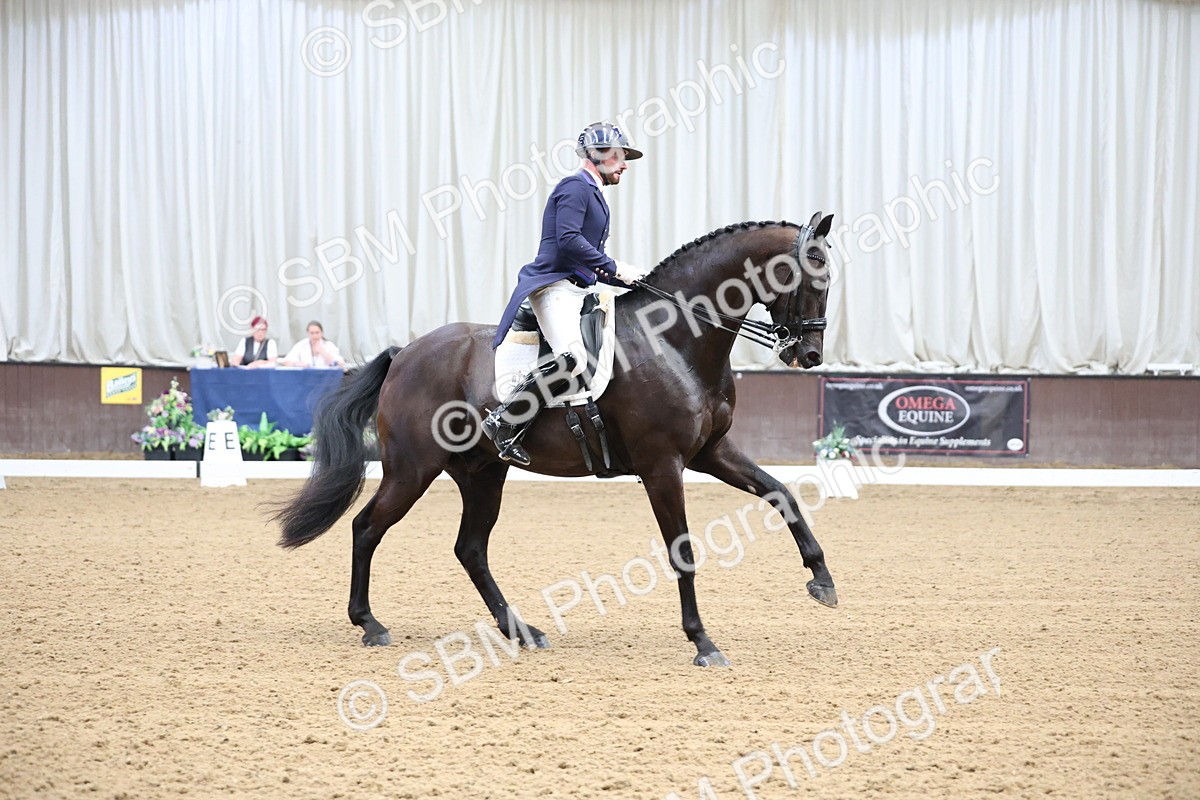 SBM_004330 - Class 9 - FEI Inter 1 Gold - 15.55-16.43