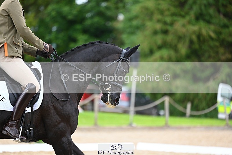 240524-144540-10378 - 534-SWIRLY_TEMPTRESS-Giovanni_Ugolotti