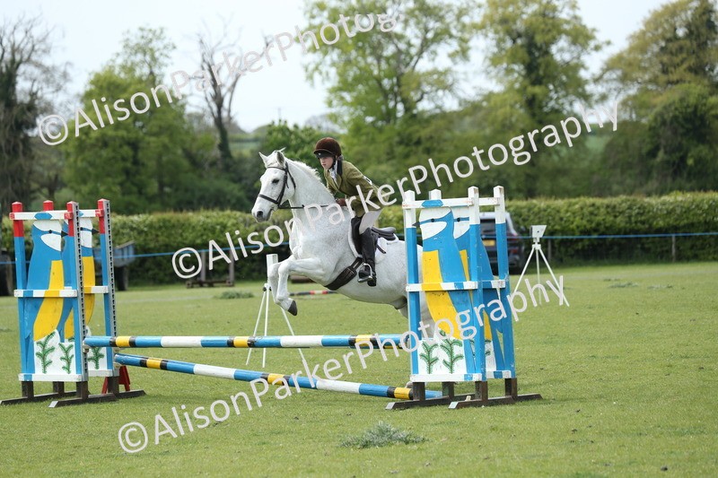 20260426-2085 - Class 15 - Absolute Novice 70cm