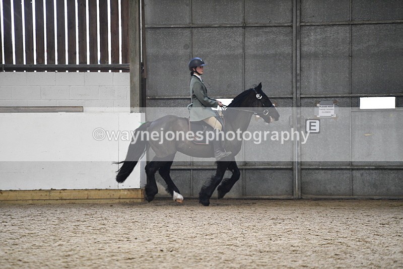 WJ5_7903 - Class 13 Ridden Part Breed