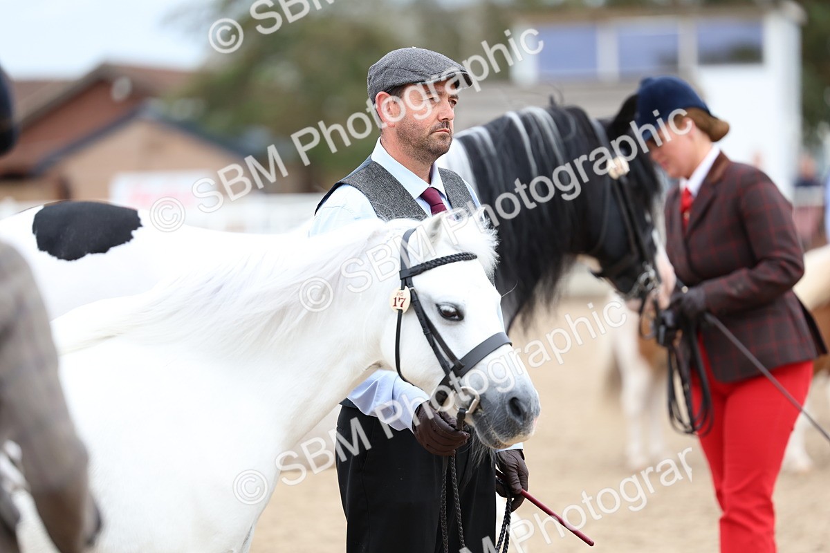 SBM_05948 - Class 29 - IH Veteran Pony