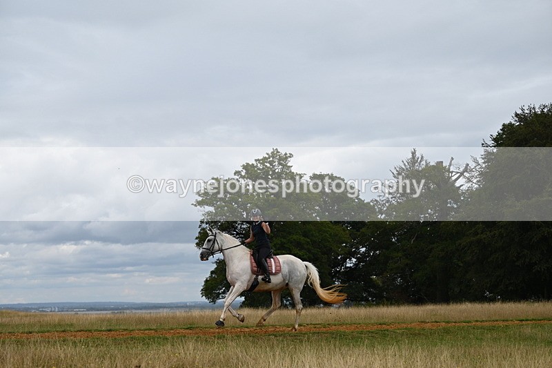 DSC_9186 - Time at Statue 14:33 to 15:10