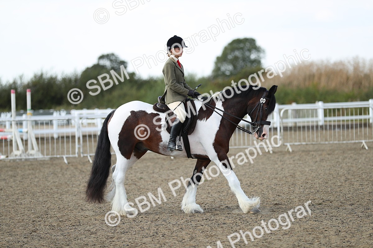 SBM_06965 - Class 49b Style & Performance 80cm (20+)