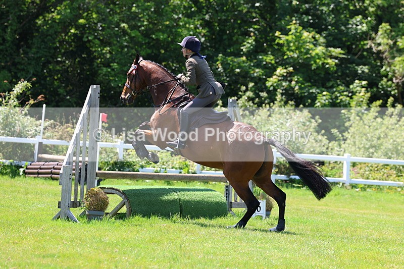 3E7A7457 - Class 31: Working Hunter Cob/Riding Horse