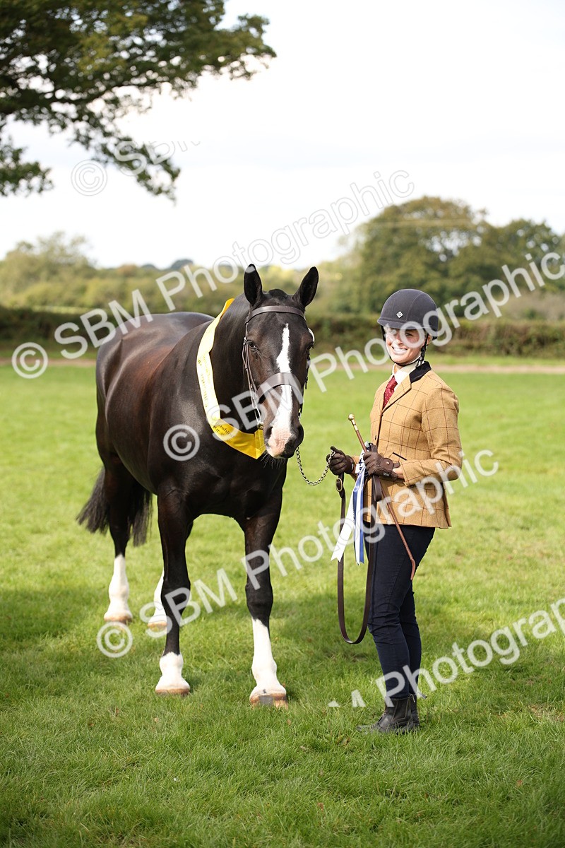 SBM_62972 - In Hand Horse Supreme Championship
