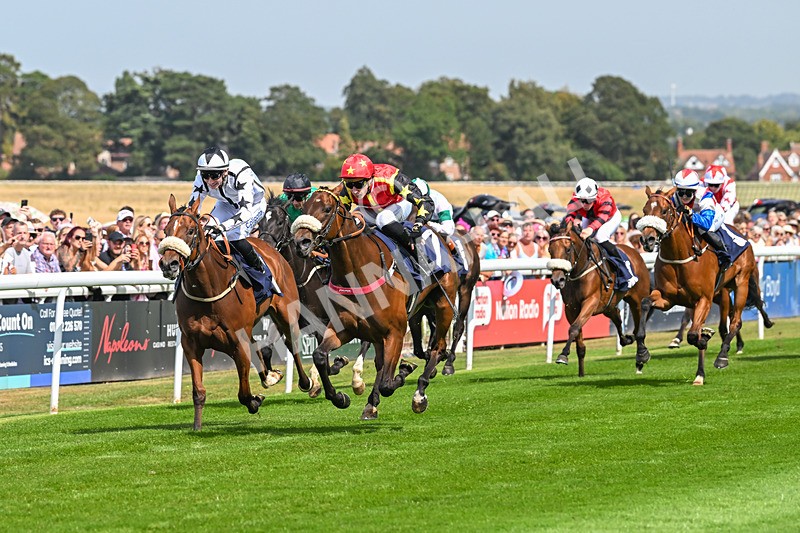 130825-Race 1-Arduis Invicta-6722 - Race 1