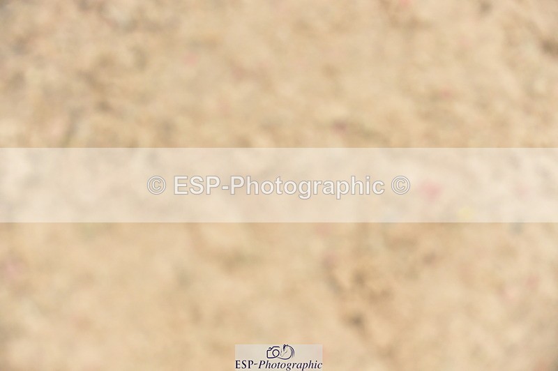 240210A-142448-01533 - Cls 25 Stepping Stones