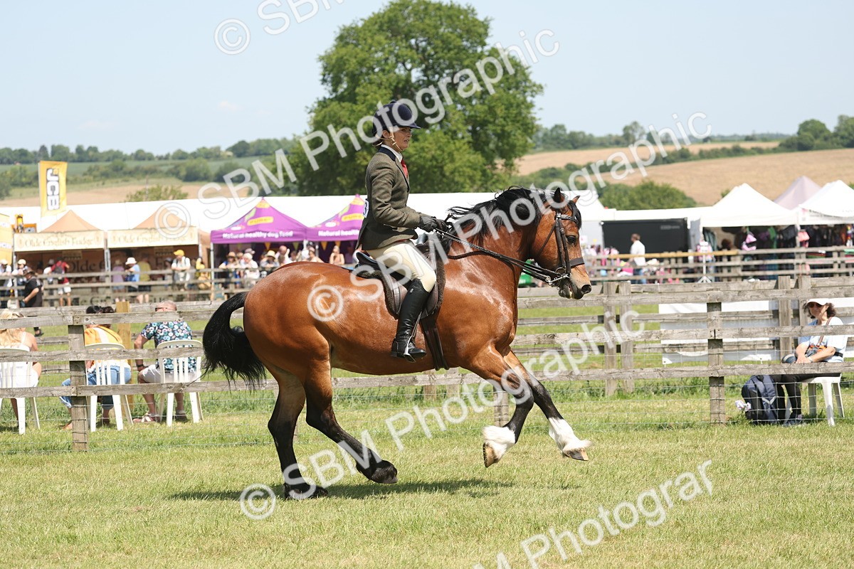 SBM_06928 - Class 26-30 - Mountain and Moorland Ridden