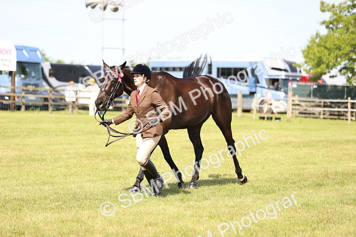 SBM_13024 - Class 75-76 LIHS BSHA Rising Star Hack Riding Horse