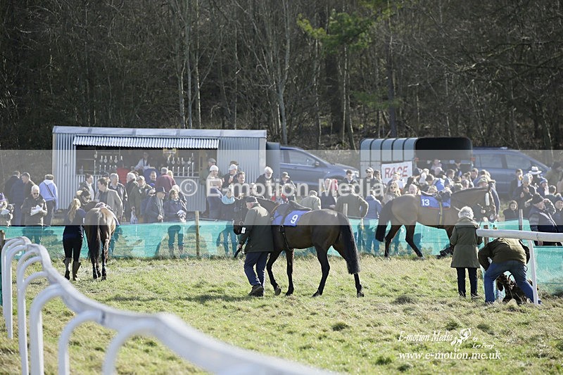 PtP 260222 426 - Kingston Blount Racing Club Point-to-Point 26/02/22