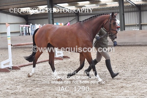 JAC_1290 - CLASS 8 BHS Scotland Riding Club Working Hunter Qualifier (1.00m)