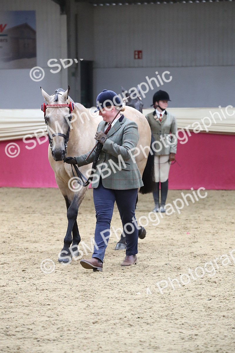 SBM_05037 - Class 8R- Regional -IH Veteran