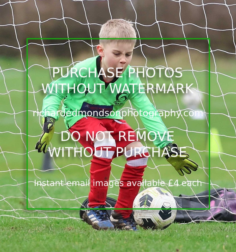 533A1019 - Ibis Under 7's (28/2/26)