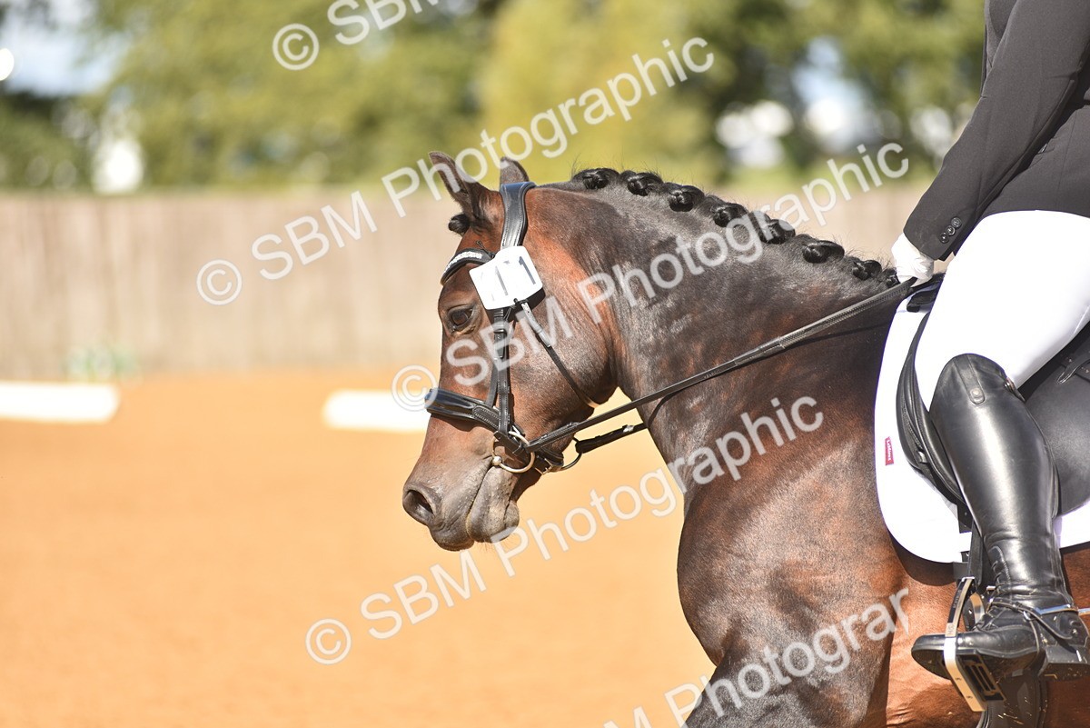 SBM_05508 - D15 - Small Tour Championship Novice 1