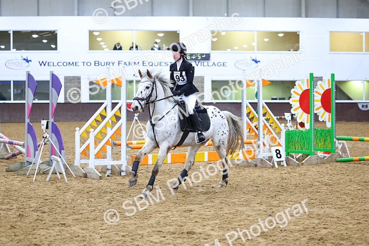 SBM_001318 - Class 3 - Christmas Tree Stakes - 60cm