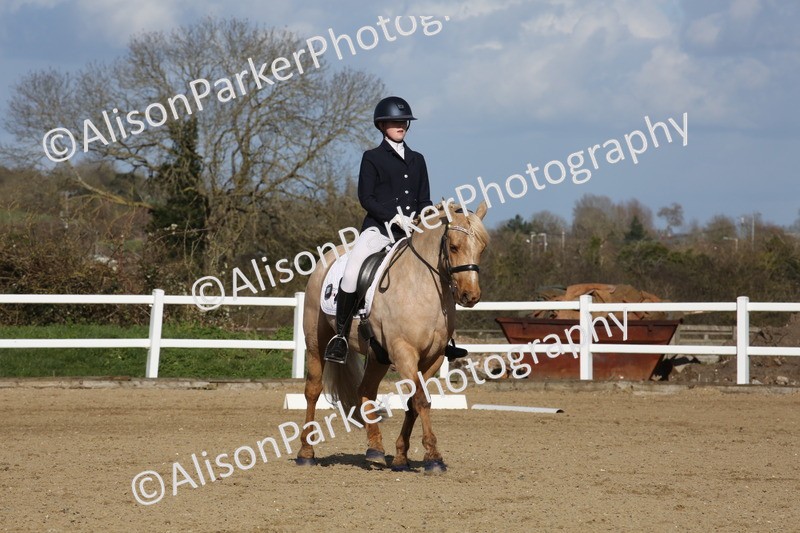 20260314-5178 - DR6 - Novice 2