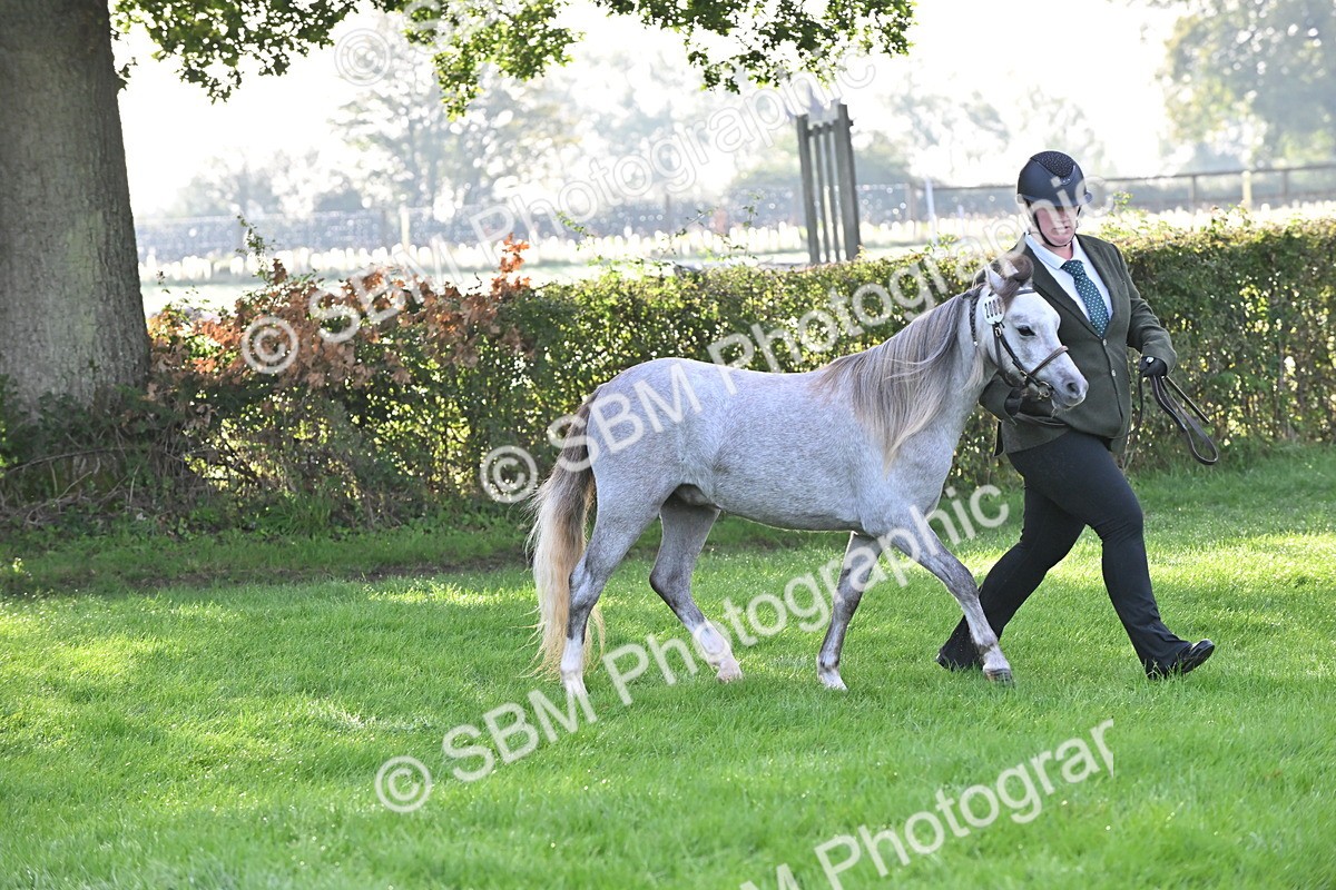 SBM_55327 - S44 - Youngstock In Hand