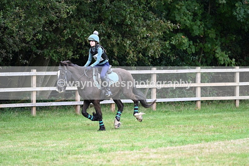 WJ7_7664 - 40cm Time 10:49 to 11:18