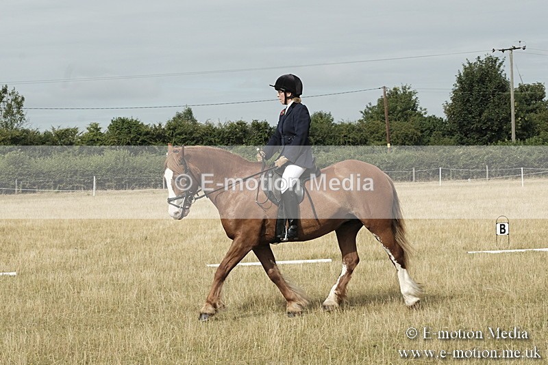 _PJP5606 - Dressage Classes BVRC Show 2018