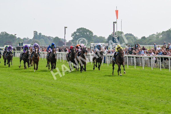 170524-Race 2-Botanical-7664 - Race 2 2.45pm Knights Solicitors Handicap