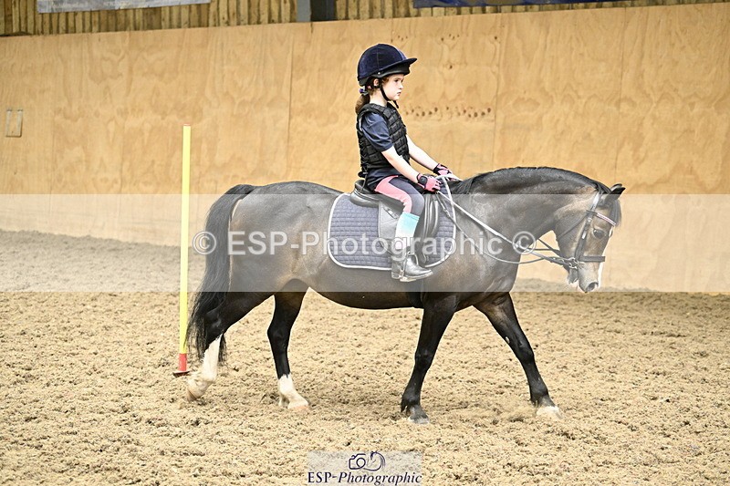 240728B-142806-00541 - Theo and Gemma's Groups Indoor