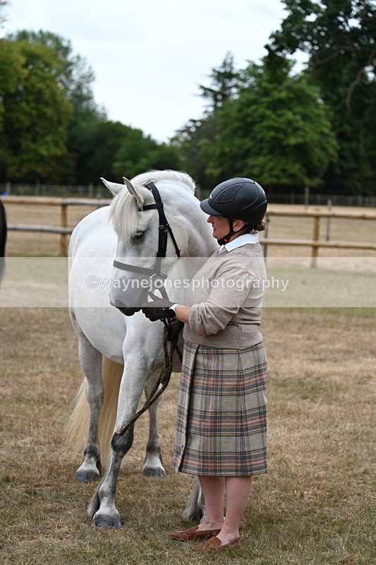 WJ7_9153 - Class 4a Prettiest Mare 14.2hh and over
