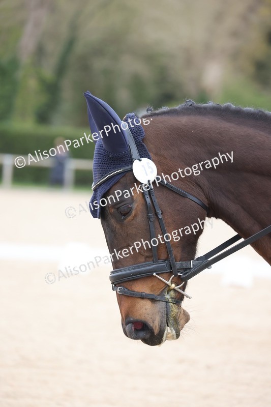 20260404-0085 - Class 2 - Intro 4