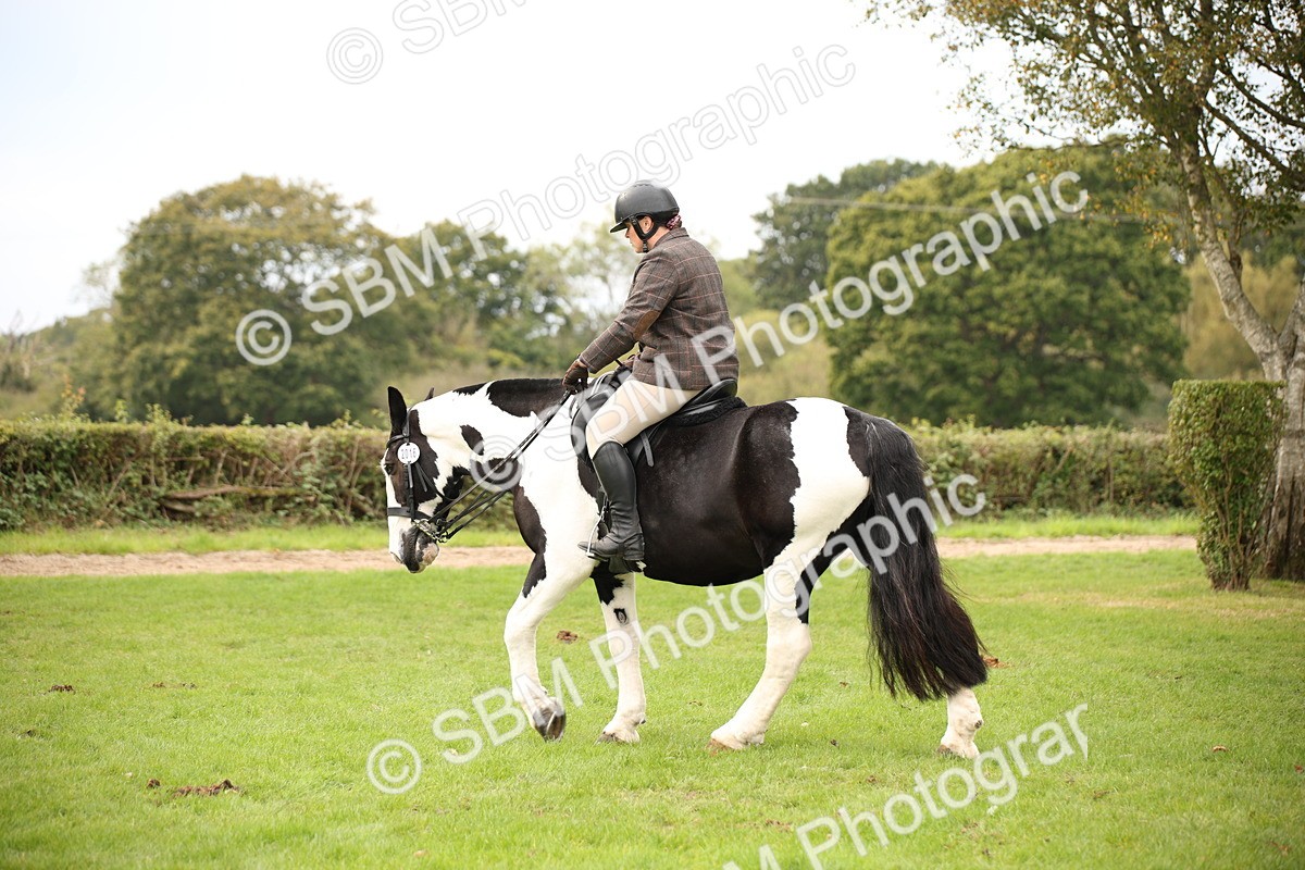 SBM_72377 - S67 - Show Cob Ridden