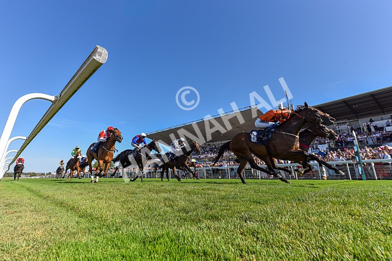 120826-Race 6-Rumble Ruby-5008 - Race 6 16.45pm Nation Radio Yorkshire Handicap