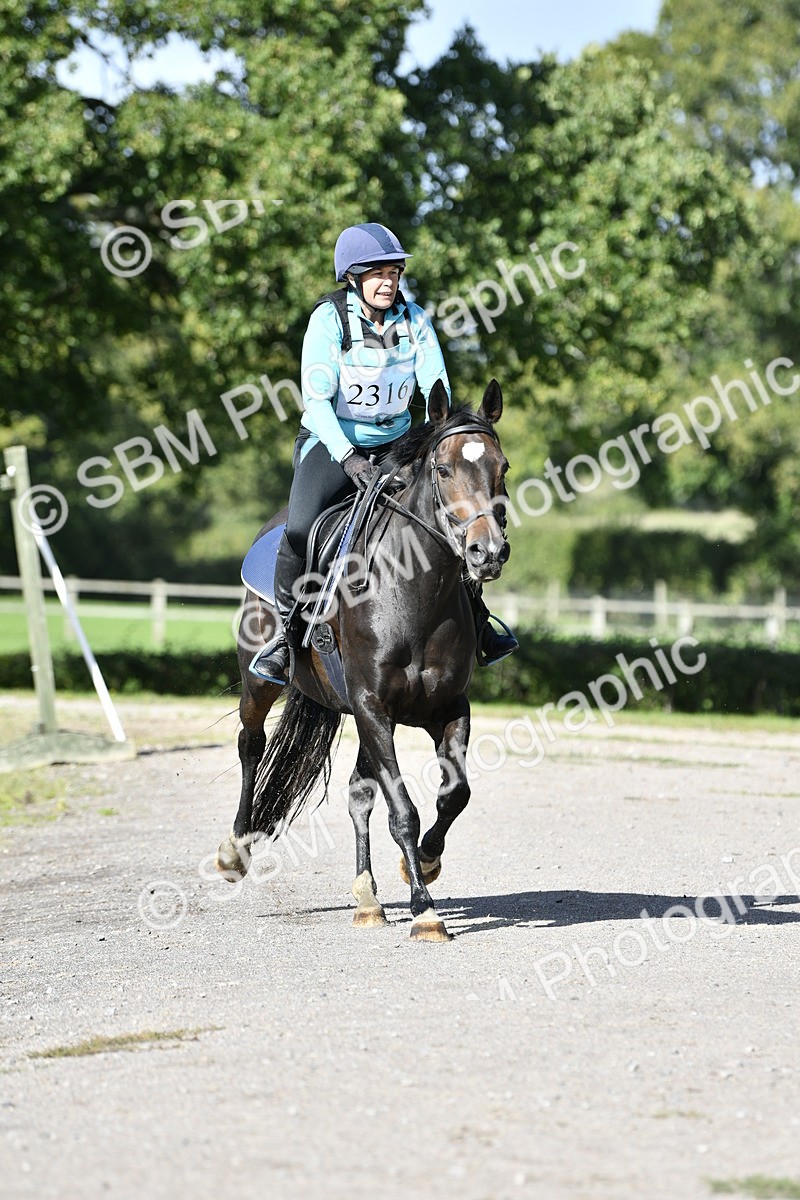 SBM_17695 - E4b - Eventers Challenge 60cm Open