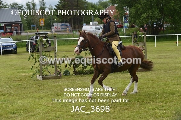 JAC_3698 - 75CM WORKING HUNTER