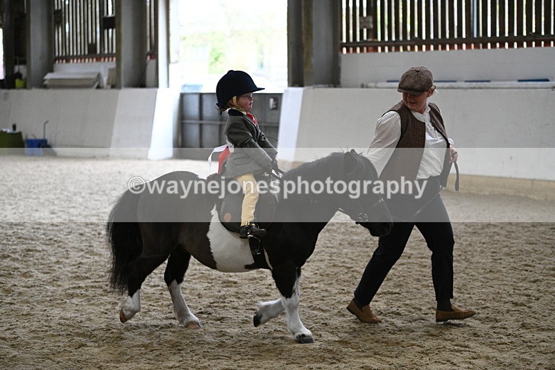 WJ7_4567 - Afternoon Champs