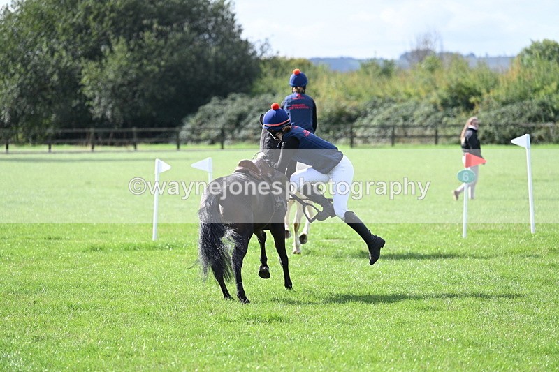 WJ7_8521 - 60cm Pairs