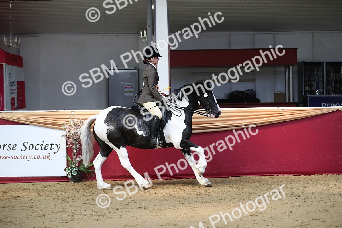 SBM_03011 - Class 6a Area Ridden Pre Vet
