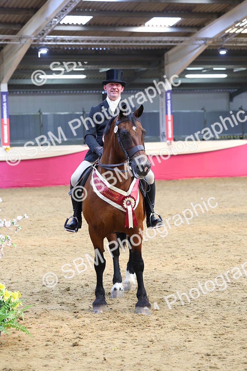 SBM_24676 - Class 906 - Supreme Final - Ridden Pre Vet